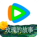 女国公 村里一枝花